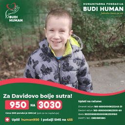 David Dimitrijević-Rabovjanović