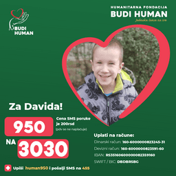 David Dimitrijević-Rabovjanović